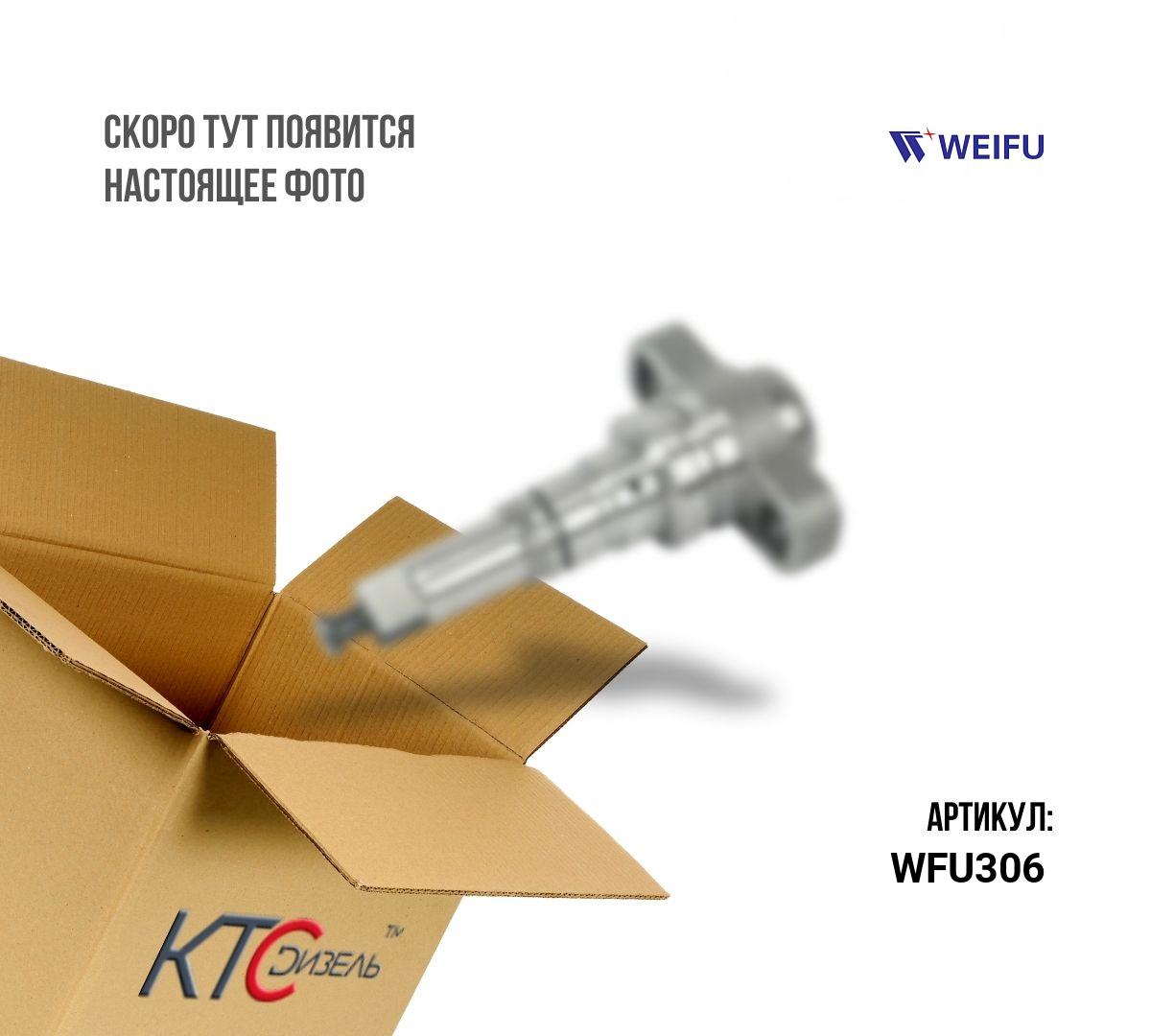 Пара плунжерная