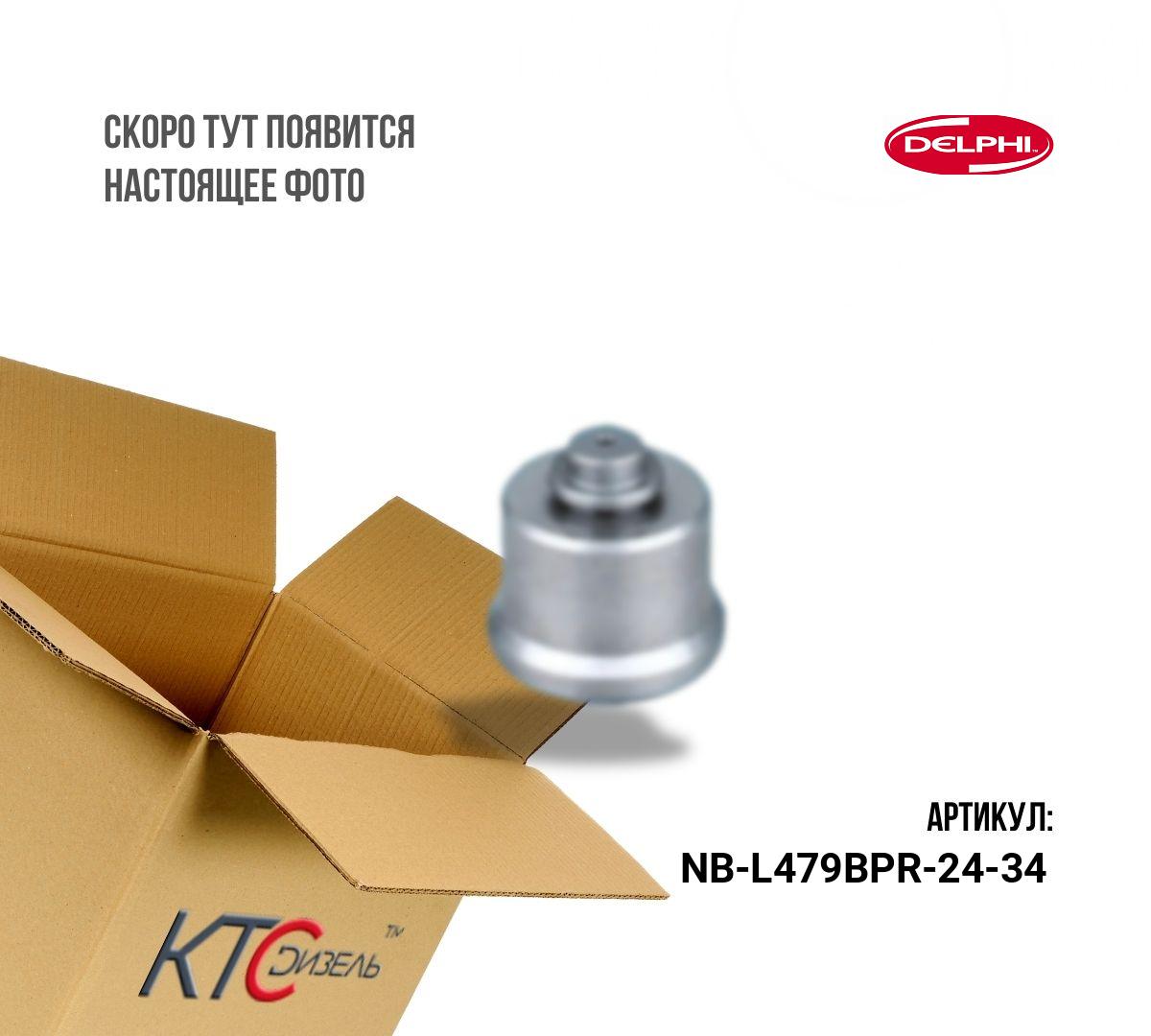 Картинка nb-l479bpr-24-34 ремкомплект смарт daf106 (распылитель(479) + проставка(24 + клапан (34))  (оригинал без упаковки) с доставкой по всей россии. ктс-дизель